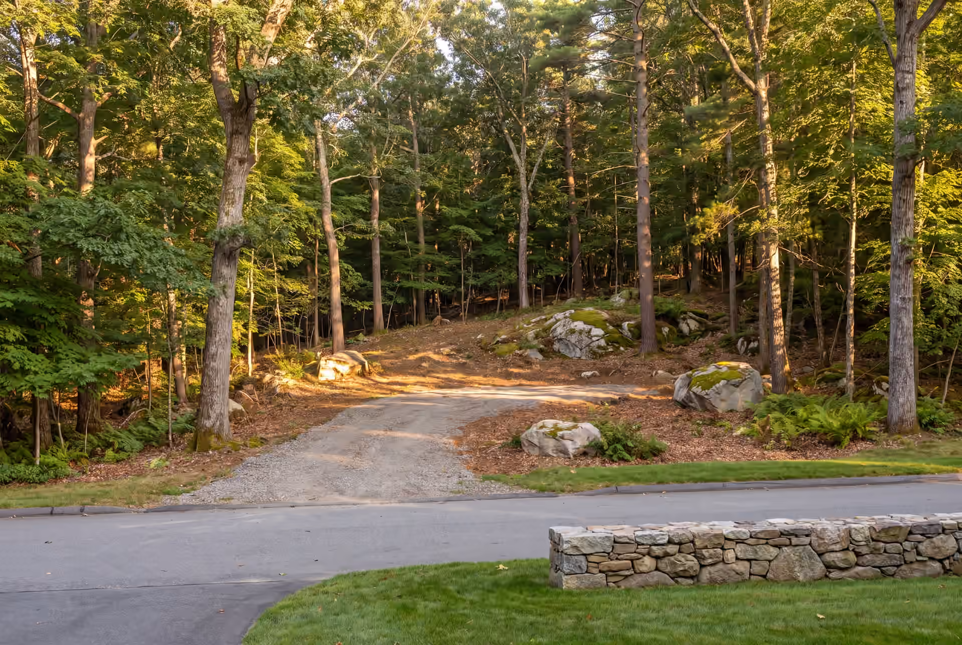 buying land to build in Southern Maine: illustrative scene, A gravel driveway leads into a sunlit clearing within a dense forest, with large mossy boulders scattered on the sloped terrain. A paved road and a low stone wall are in the foreground
