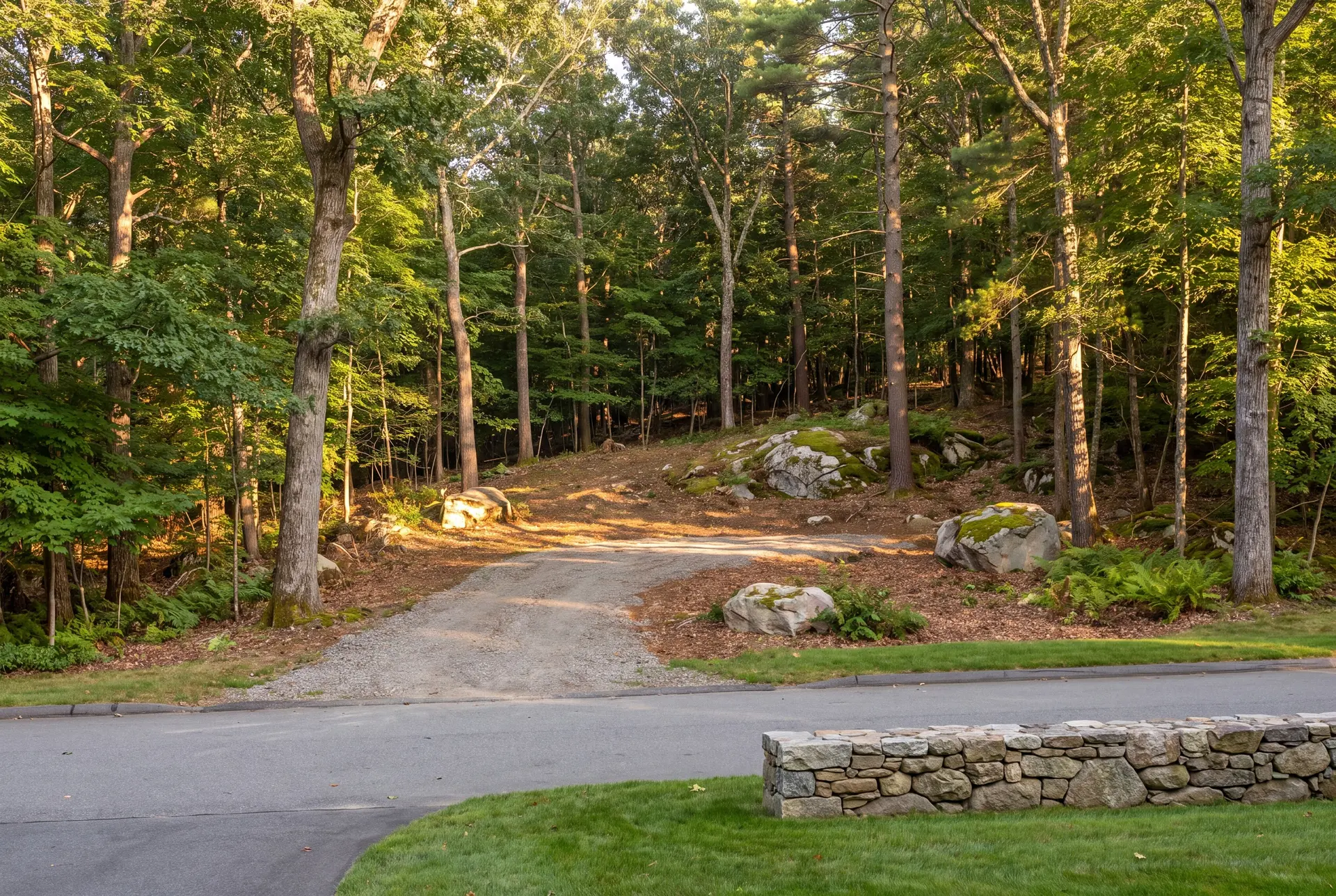 buying land to build in Southern Maine: illustrative scene, A gravel driveway leads into a sunlit clearing within a dense forest, with large mossy boulders scattered on the sloped terrain. A paved road and a low stone wall are in the foreground