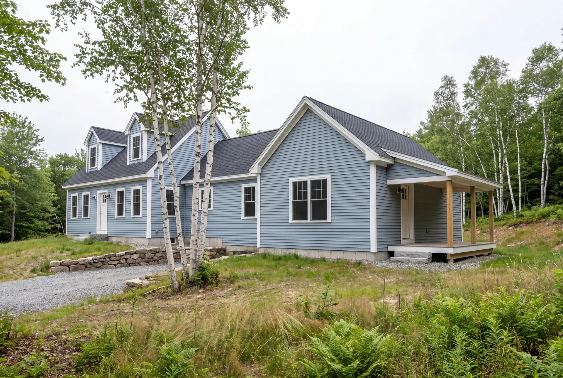 Illustration: A light blue house with a new single-story addition and a covered porch, set against a backdrop of trees under an overcast sky